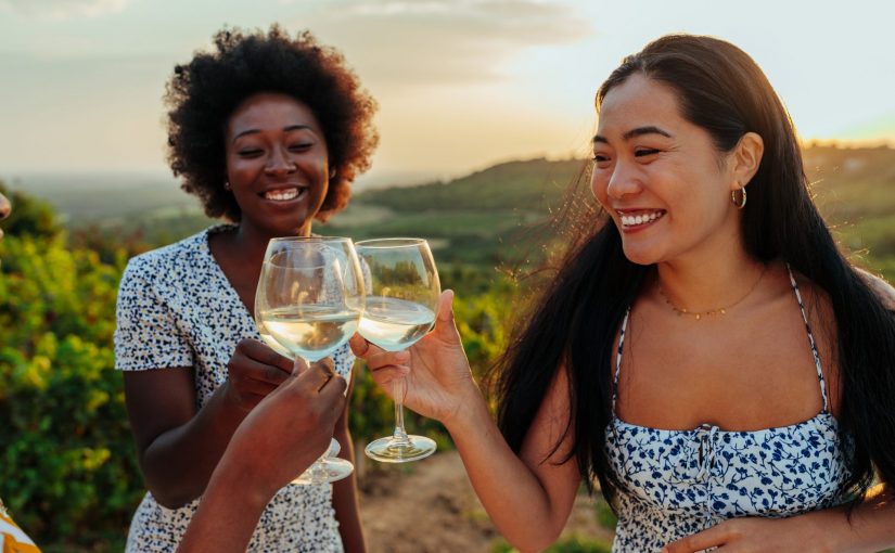 wine farms in Stellenbosch